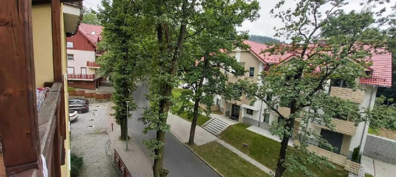 Apartment Apartament Szlachecki Karpacz